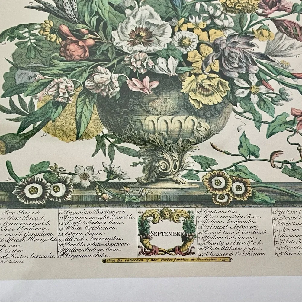 2 Framed Matted Vintage Floral Flower Botanical Bouquet Prints Litho Robert Furb - Picture 5 of 14